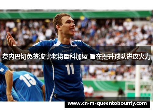 费内巴切免签波黑老将哲科加盟 旨在提升球队进攻火力